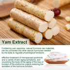 Aavini Natural Tension Relief Wild Yam & 16 Essential Oils Massage Cream 50g