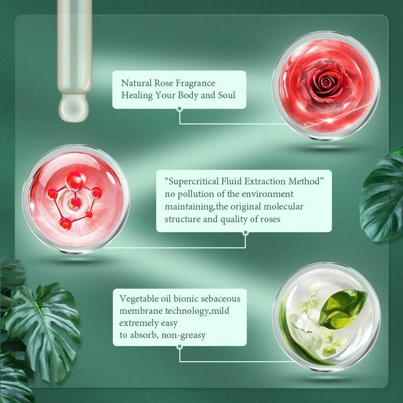 Aavini Rose SPA Massage Oil 50ml Hydrating Firming & Aromatherapy Skincare